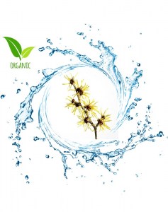 Ανθόνερο Αμαμελίδα 